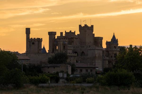 Royal Palace of Olite
